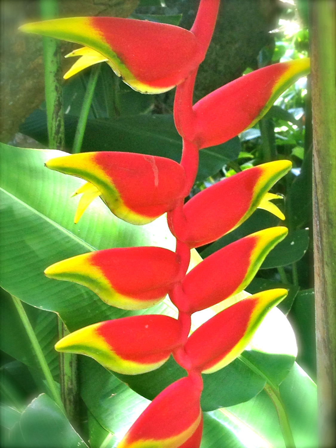 Rush Order Custom Lure Keychain - Natashaaloha, jewelry, bracelets, necklace, keychains, fishing lures, gifts for men, charms, personalized,