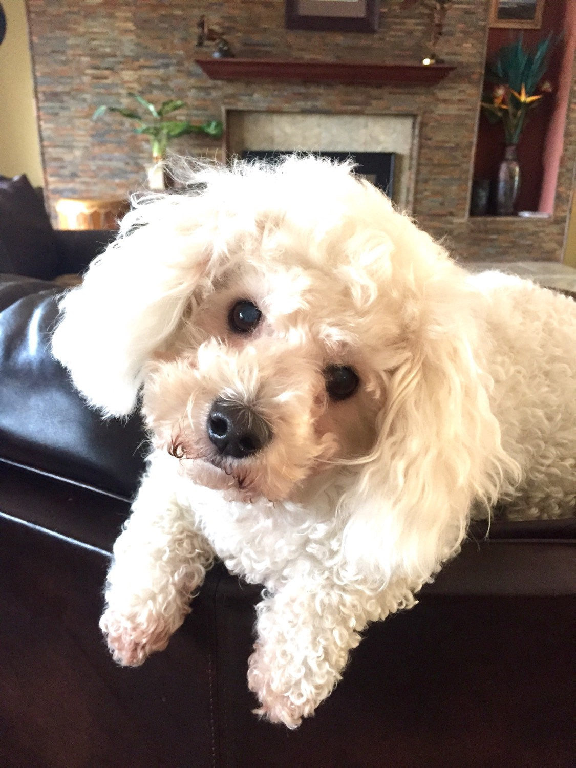 Fishing Lures, Your'e My Person, Father Of the Bride Fishing Lure, Forever Your Little Girl, My Reel True Love, Father's Day Gift, Gifts Men - Natashaaloha, jewelry, bracelets, necklace, keychains, fishing lures, gifts for men, charms, personalized,