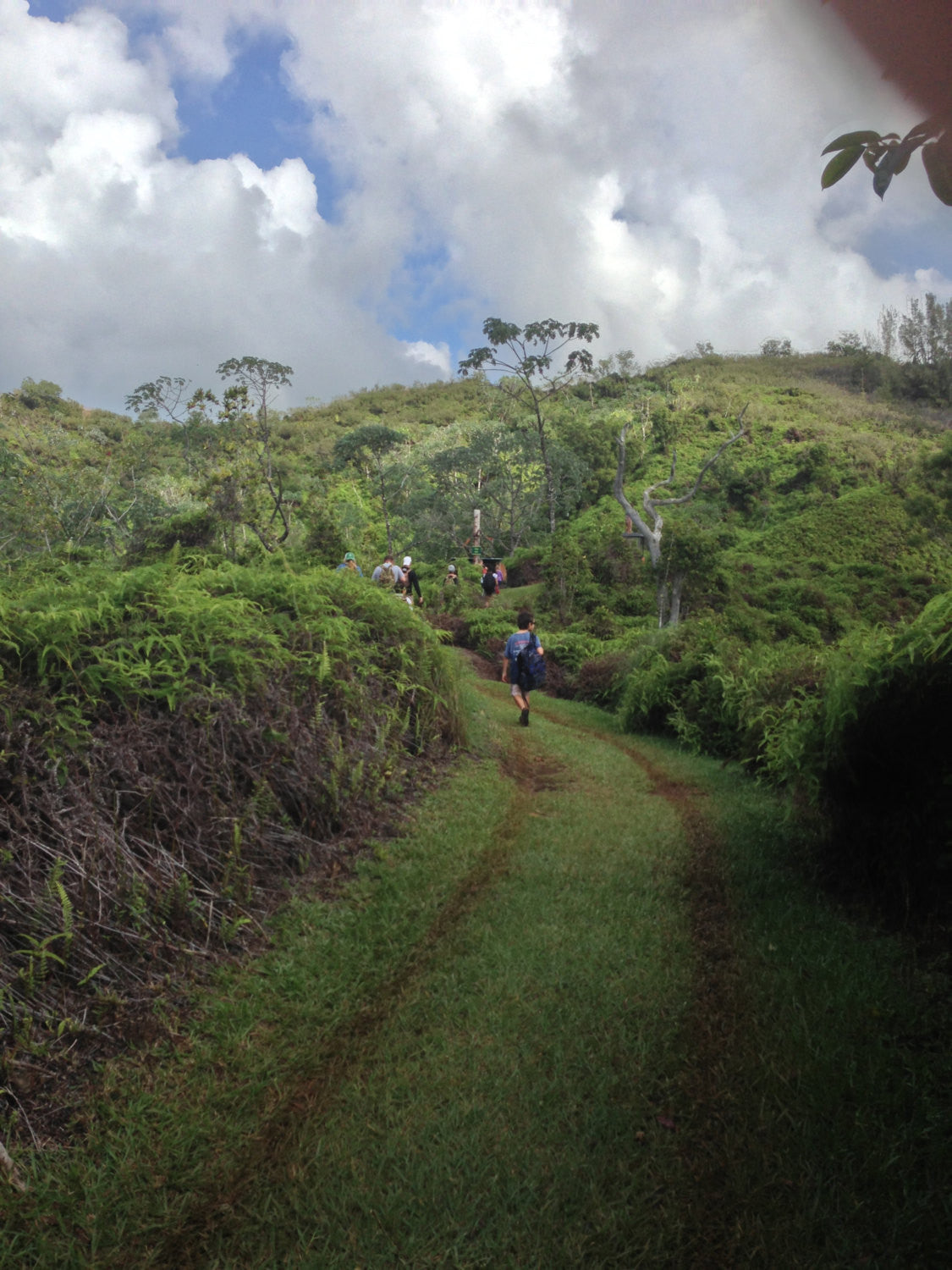 Fish adding to Key chain For Patricia Rudner - Natashaaloha, jewelry, bracelets, necklace, keychains, fishing lures, gifts for men, charms, personalized,